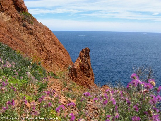 esterel